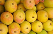 Pulp friction: Indian mango ban prompts protest in Britain